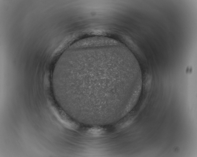 X0000112430213200909041443