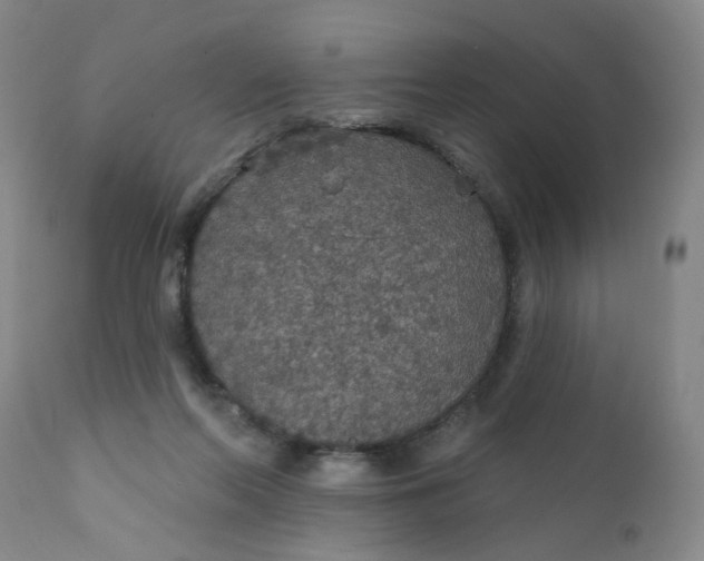 X0000112430214200909041443