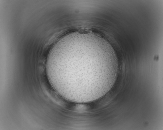 X0000112430218200909041443