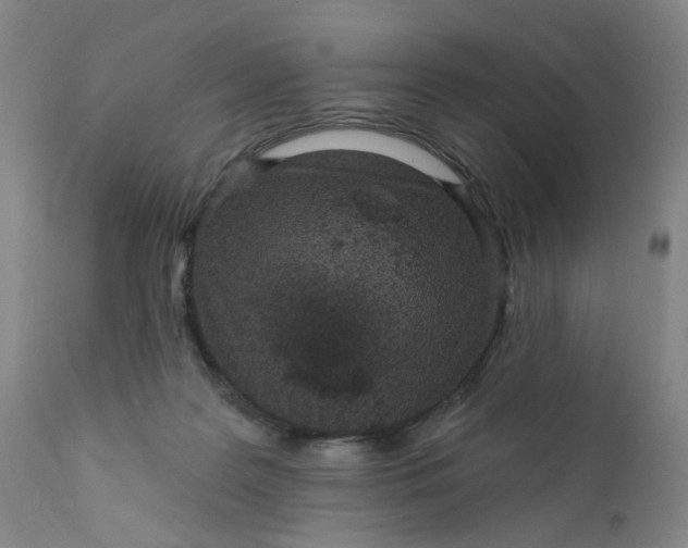 X0000112430219200909041443