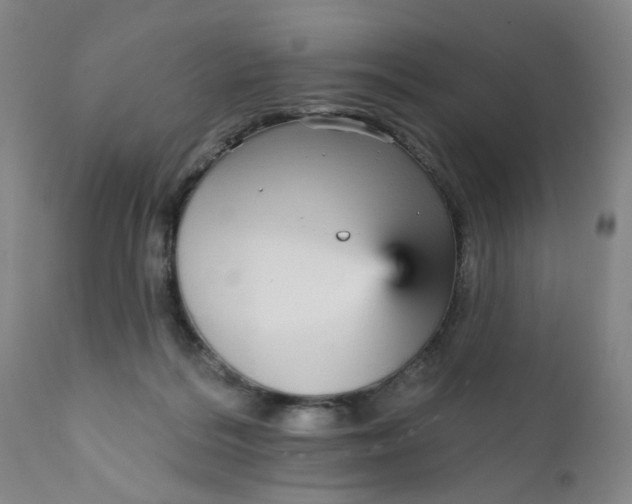 X0000112430220200909041443