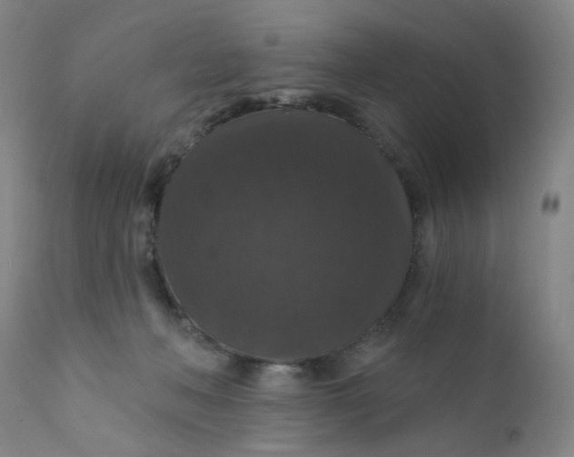 X0000112430222200909041443