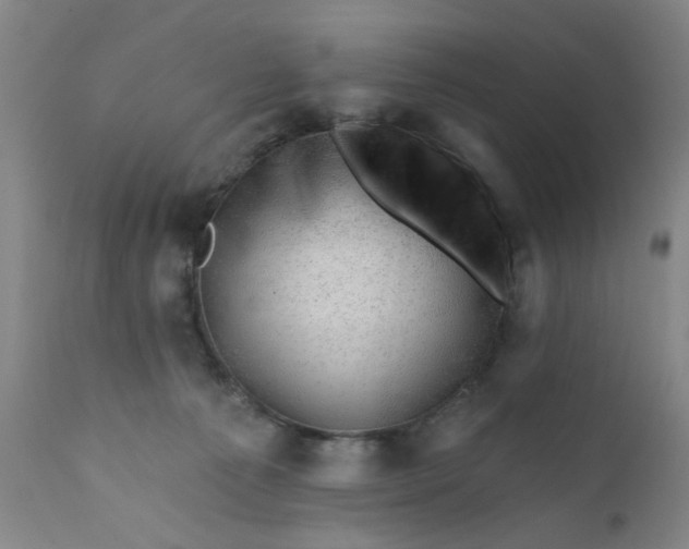 X0000112430225200909041443