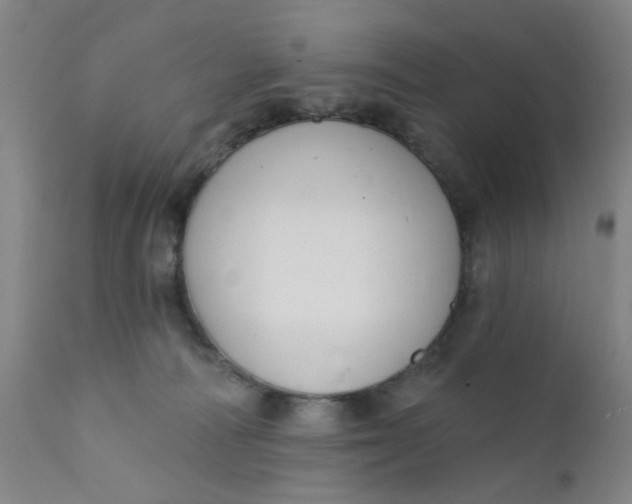 X0000112430226200909041443