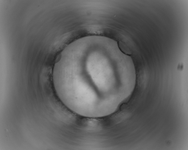 X0000112430229200909041443