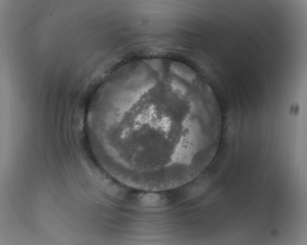 X0000112430230200909041443