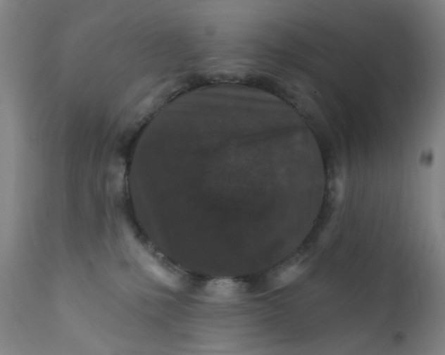 X0000112430231200909041443