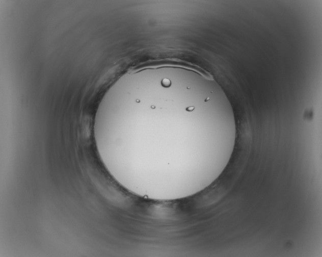 X0000112430232200909041443