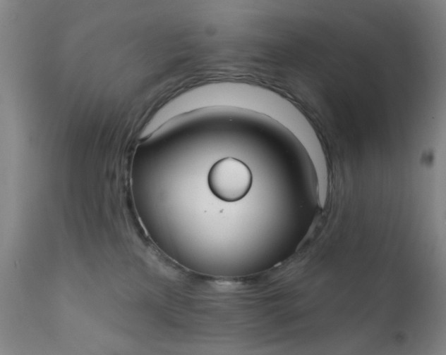 X0000112430233200909041443