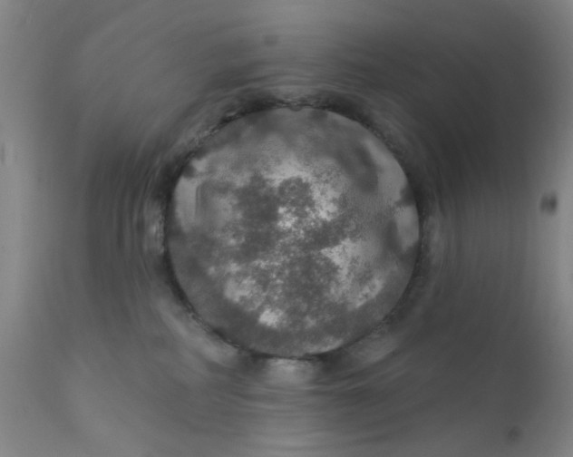 X0000112430234200909041443