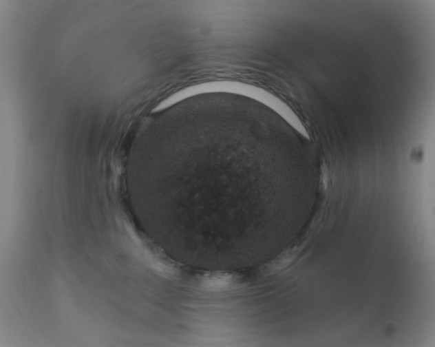 X0000112430235200909041443