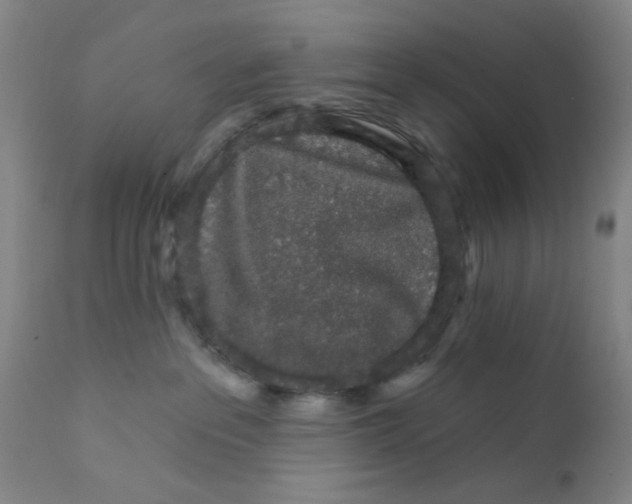X0000112430237200909041443