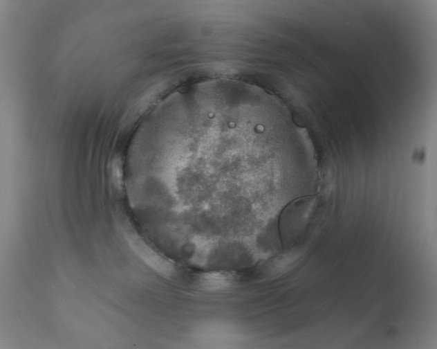 X0000112430238200909041443