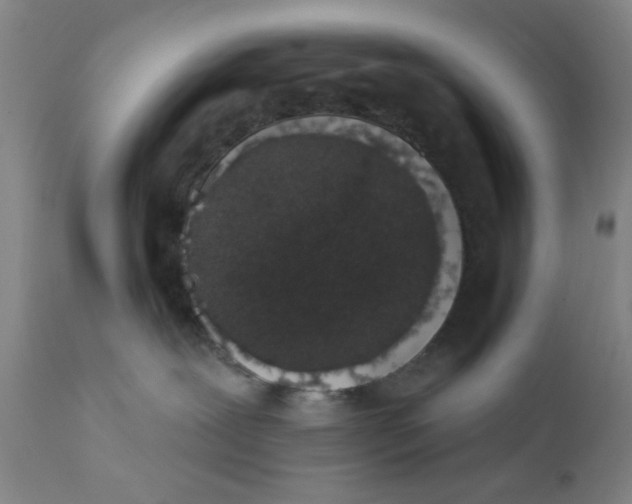 X0000112430239200909041443