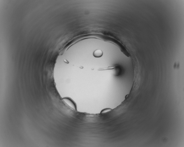 X0000112430240200909041443