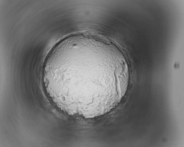 X0000112430241200909041442