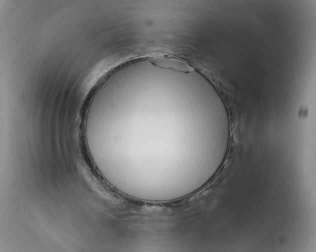 X0000112430242200909041442