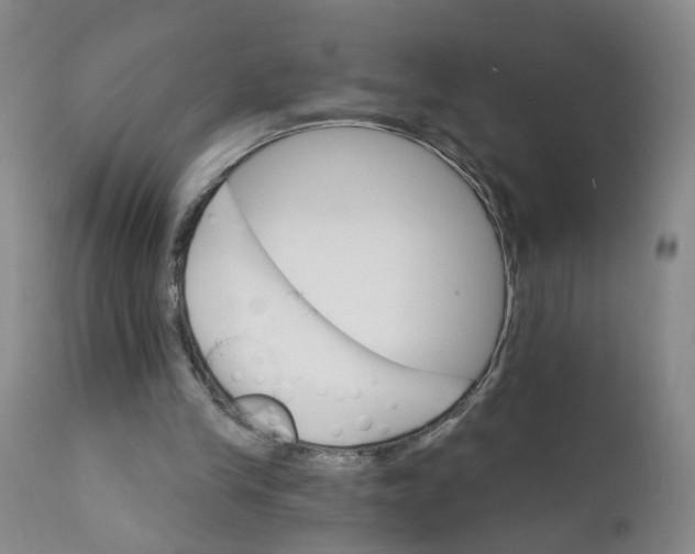 X0000112430245200909041443