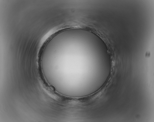 X0000112430246200909041443