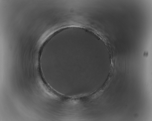 X0000112430247200909041443