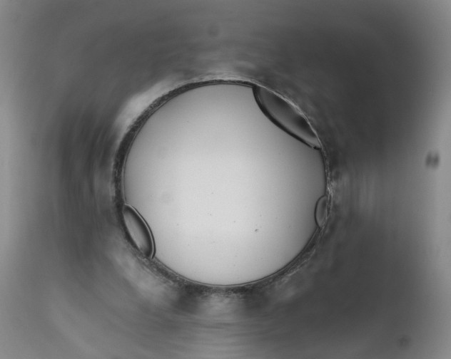 X0000112430248200909041443