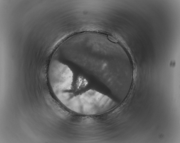X0000112430249200909041443