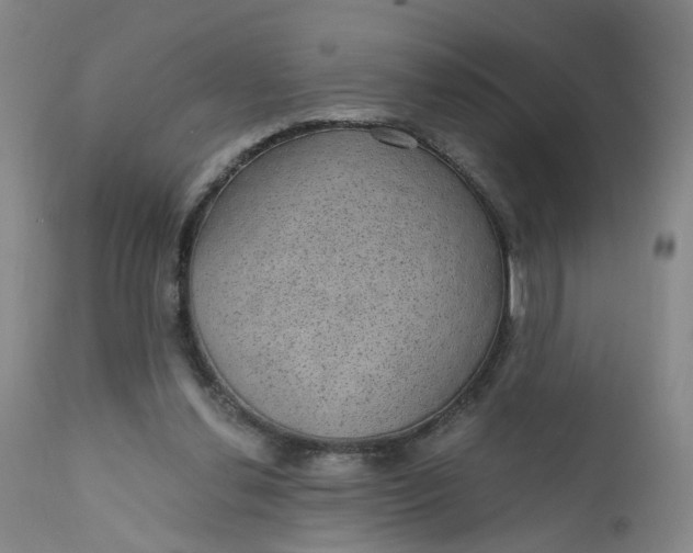 X0000112430252200909041443