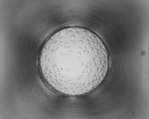 X0000112430253200909041443