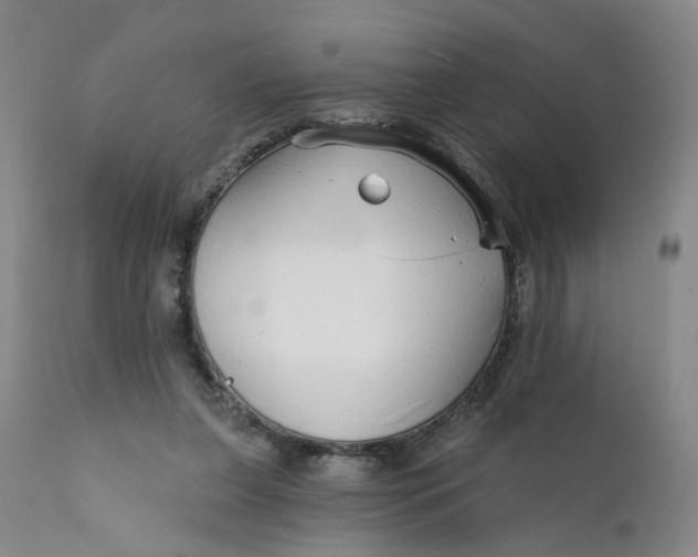X0000112430255200909041443