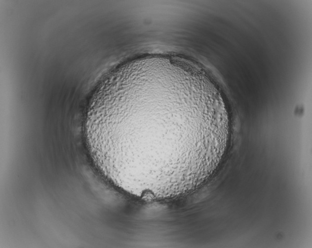 X0000112430257200909041443