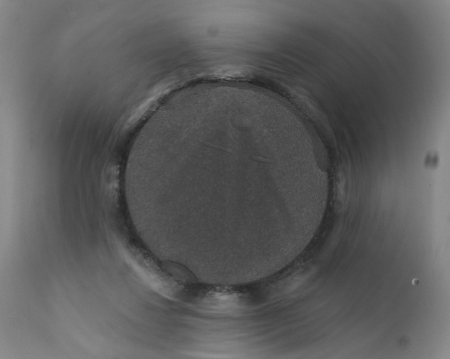 X0000112430260200909041443