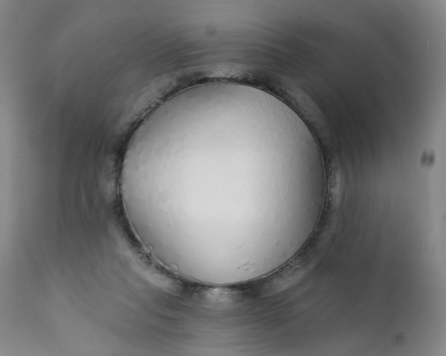 X0000112430261200909041443