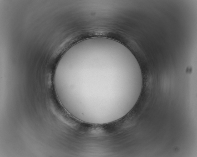 X0000112430262200909041443