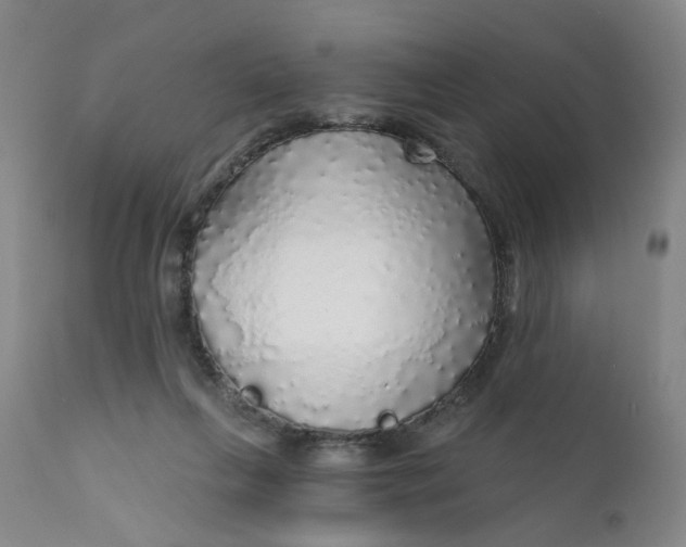 X0000112430263200909041443