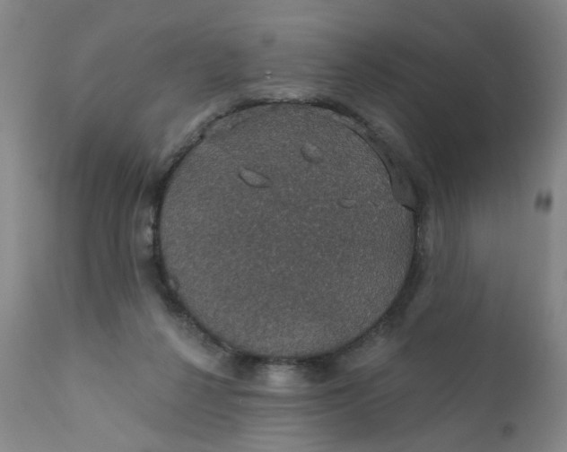 X0000112430264200909041443