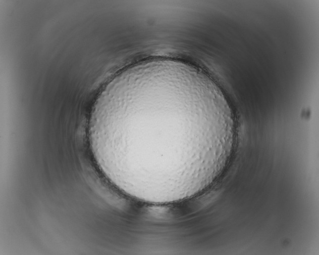 X0000112430265200909041443