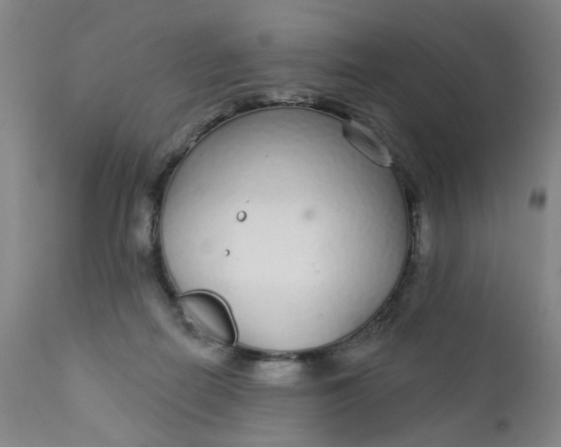 X0000112430266200909041443