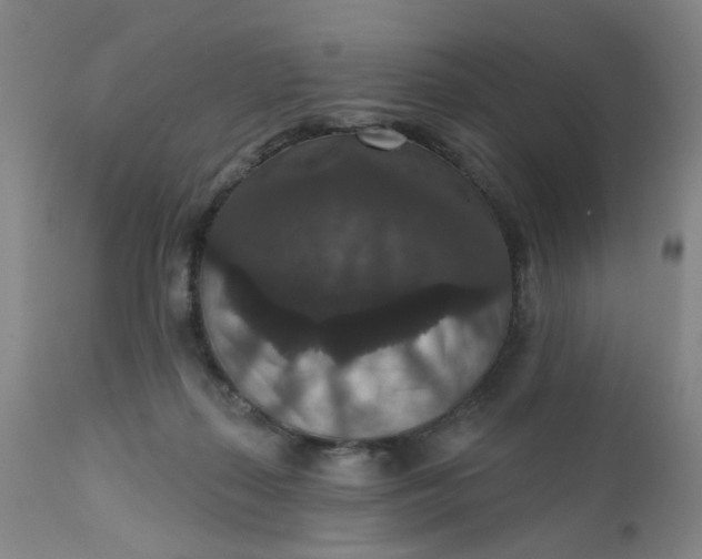 X0000112430267200909041443