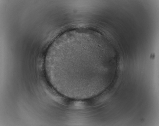 X0000112430268200909041443