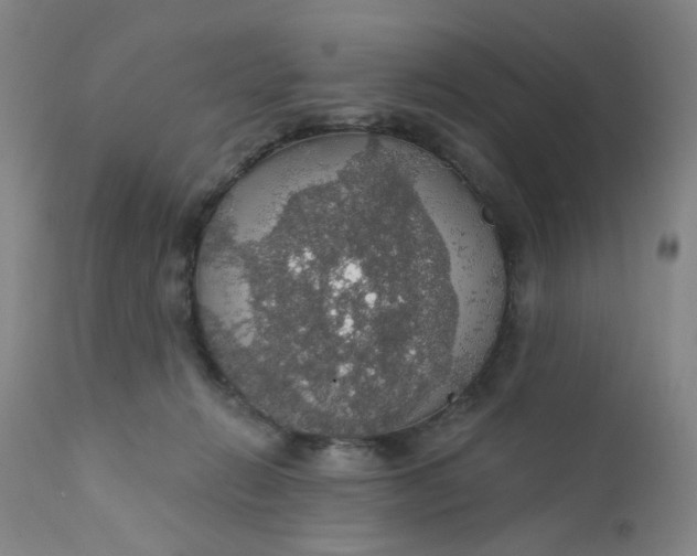 X0000112430270200909041443