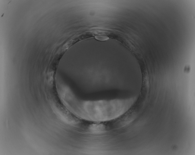 X0000112430271200909041443