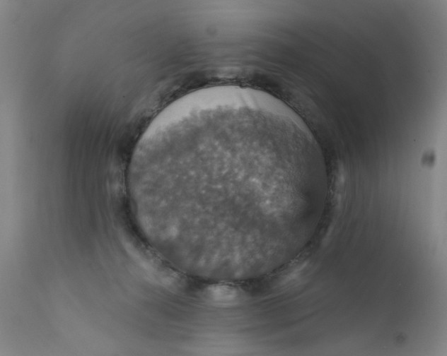 X0000112430272200909041443