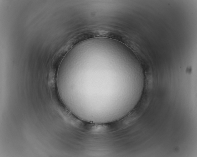 X0000112430274200909041443