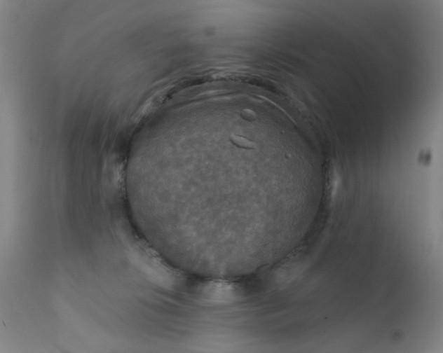 X0000112430276200909041443