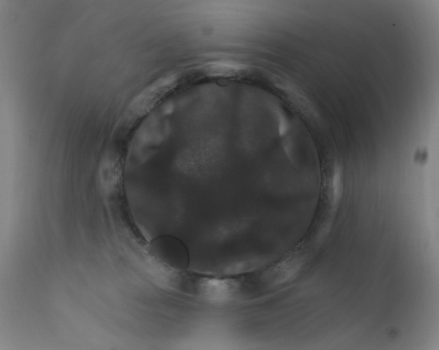 X0000112430277200909041443
