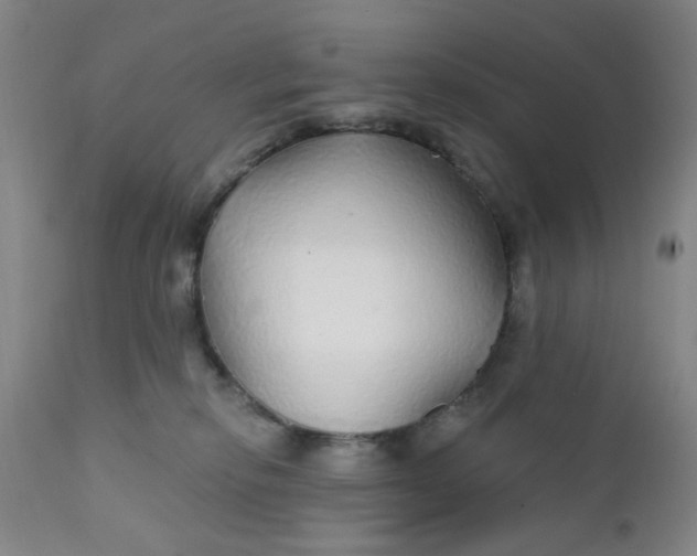 X0000112430278200909041443