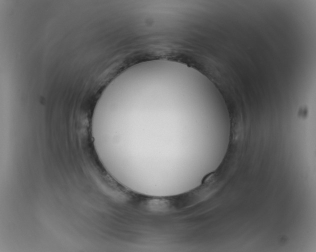 X0000112430279200909041443