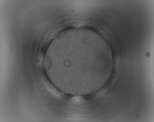 X0000112430280200909041443