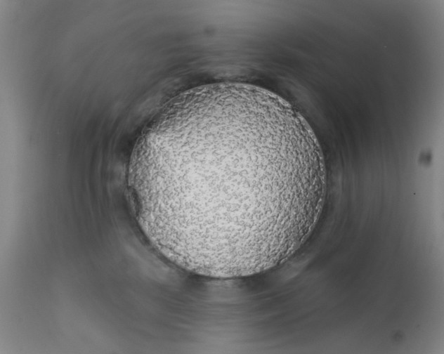 X0000112430281200909041443