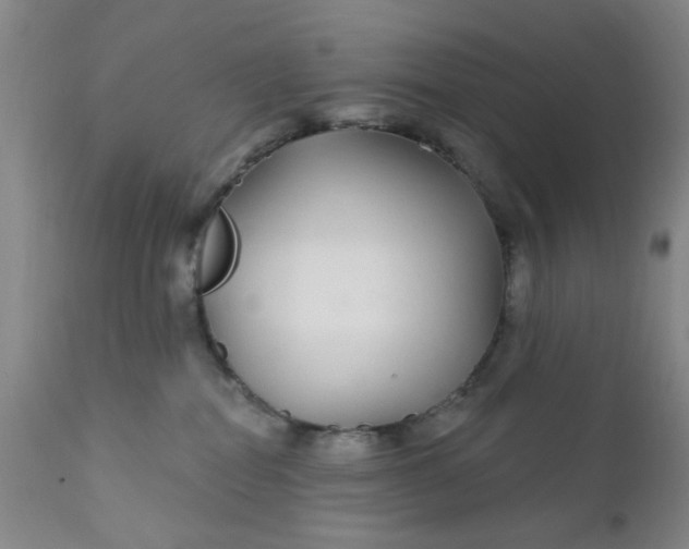 X0000112430282200909041443